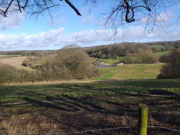 Abbotstone 